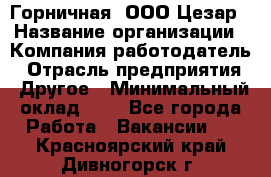 Горничная. ООО Цезар › Название организации ­ Компания-работодатель › Отрасль предприятия ­ Другое › Минимальный оклад ­ 1 - Все города Работа » Вакансии   . Красноярский край,Дивногорск г.